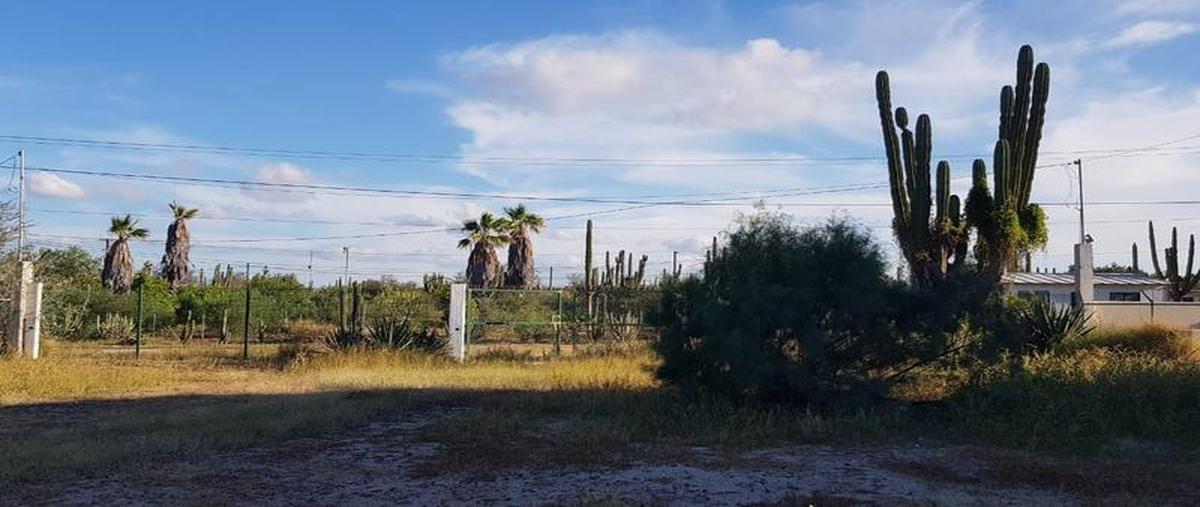 Foto de terreno habitacional en venta en  , comitán, la paz, baja california sur, 30303049 No. 03