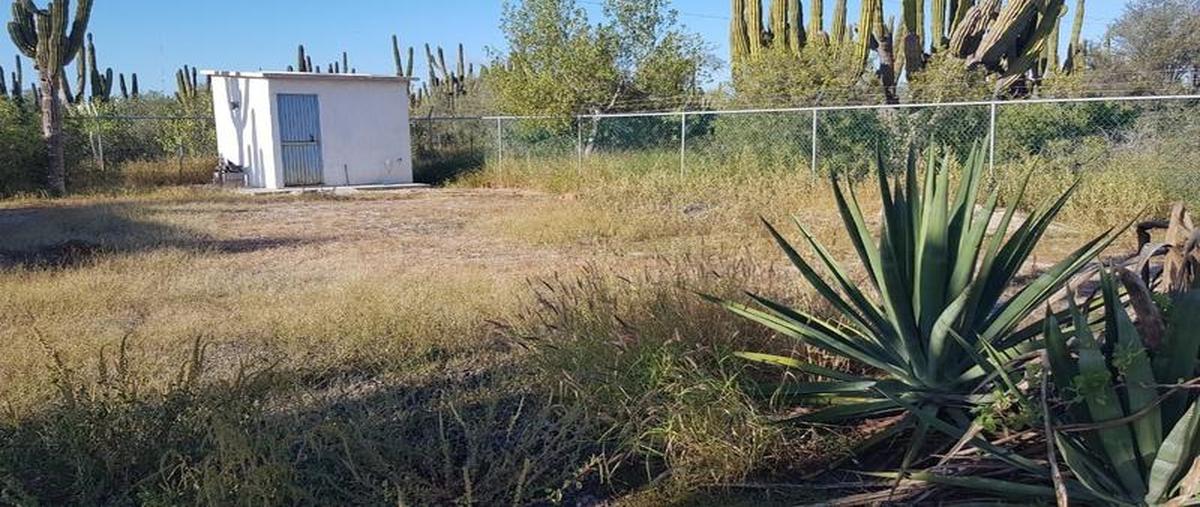Foto de terreno habitacional en venta en  , comitán, la paz, baja california sur, 30303049 No. 05