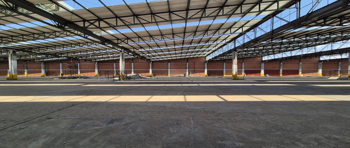 Foto de bodega en renta en  , complejo industrial cuamatla, cuautitlán izcalli, méxico, 31091175 No. 04