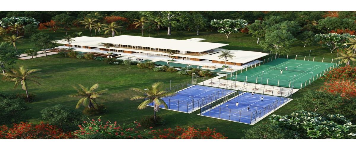 Foto de terreno habitacional en venta en  , complejo turistico nuevo yucatán, telchac puerto, yucatán, 0 No. 04