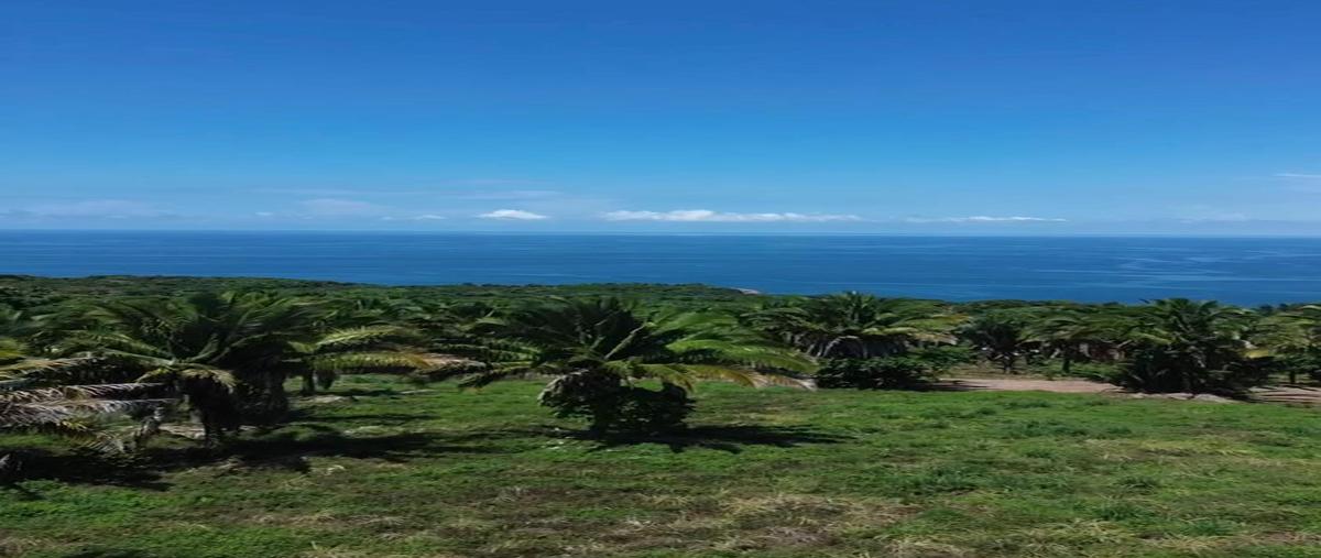 Foto de terreno habitacional en venta en  , compostela centro, compostela, nayarit, 0 No. 04