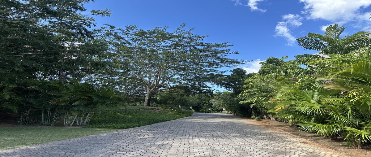 Foto de terreno habitacional en compostela , chablekal, mérida, yucatán, 30374837 foto 03 Foto de terreno habitacional en venta en compostela , chablekal, mérida, yucatán, 30374837 No. 03