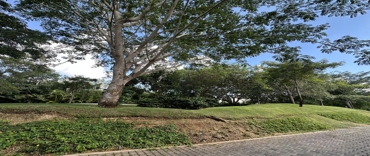 Foto de terreno habitacional en compostela , chablekal, mérida, yucatán, 30374837 foto 05 Foto de terreno habitacional en venta en compostela , chablekal, mérida, yucatán, 30374837 No. 05