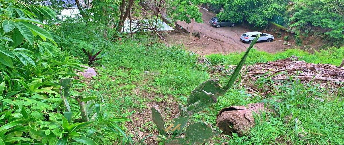 Foto de terreno habitacional en compostela , sayulita, bahía de banderas, nayarit, 0 foto 03 Foto de terreno habitacional en venta en compostela , sayulita, bahía de banderas, nayarit, 0 No. 03
