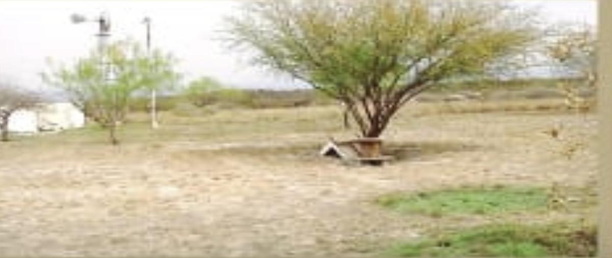 Foto de terreno industrial en , comunal huertas de san marino, salinas victoria, nuevo león, 0 foto 01 Foto de terreno industrial en venta en , comunal huertas de san marino, salinas victoria, nuevo león, 0 No. 01