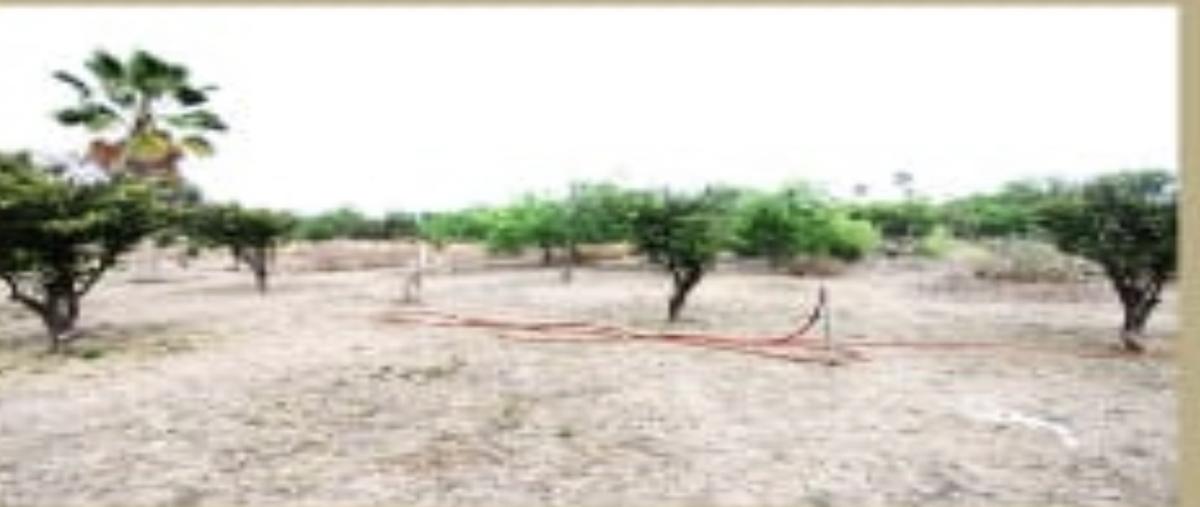 Foto de terreno industrial en , comunal huertas de san marino, salinas victoria, nuevo león, 0 foto 02 Foto de terreno industrial en venta en , comunal huertas de san marino, salinas victoria, nuevo león, 0 No. 02