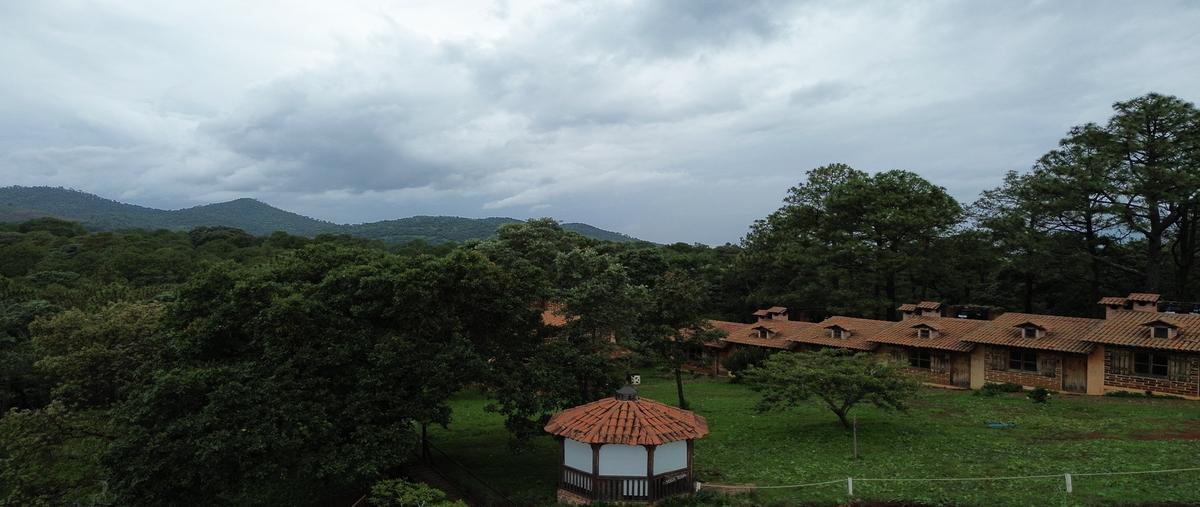 Foto de terreno habitacional en venta en  , concepción de buenos aires, concepción de buenos aires, jalisco, 30270731 No. 03
