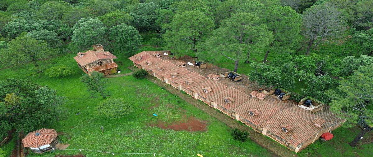Foto de terreno habitacional en venta en  , concepción de buenos aires, concepción de buenos aires, jalisco, 30270731 No. 05
