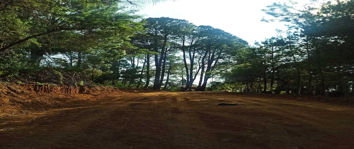 Foto de terreno habitacional en venta en  , concepción de buenos aires, concepción de buenos aires, jalisco, 0 No. 04