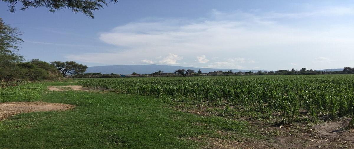 Foto de terreno comercial en venta en concepción del valle , concepción del valle, tlajomulco de zúñiga, jalisco, 27698989 No. 04