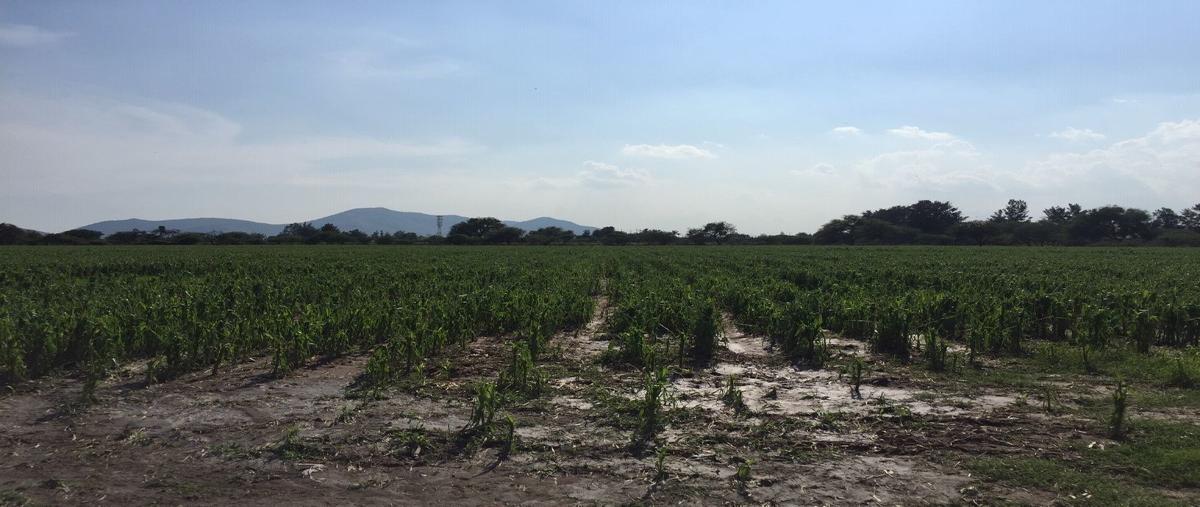 Foto de terreno industrial en venta en concepción del valle , concepción del valle, tlajomulco de zúñiga, jalisco, 27698992 No. 03