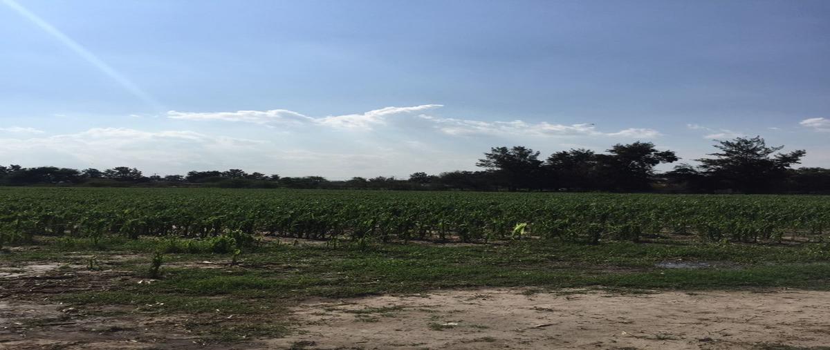 Foto de terreno industrial en venta en concepción del valle , concepción del valle, tlajomulco de zúñiga, jalisco, 27698992 No. 04