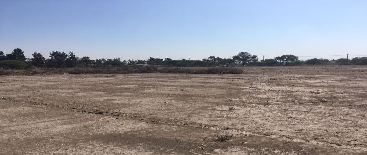 Foto de terreno industrial en venta en concepción del valle , concepción del valle, tlajomulco de zúñiga, jalisco, 27698992 No. 05