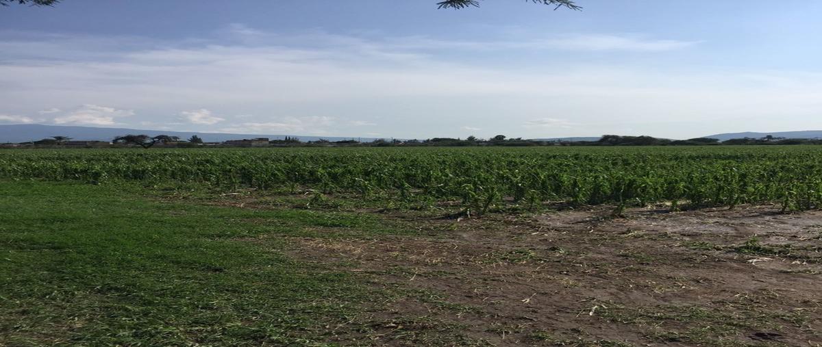 Foto de terreno habitacional en venta en concepción del valle , concepción del valle, tlajomulco de zúñiga, jalisco, 30398280 No. 03