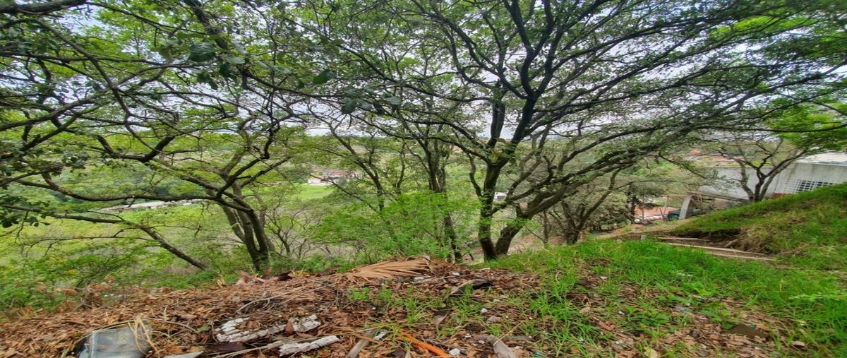 Foto de terreno habitacional en venta en  , condado de sayavedra, atizapán de zaragoza, méxico, 17356033 No. 03