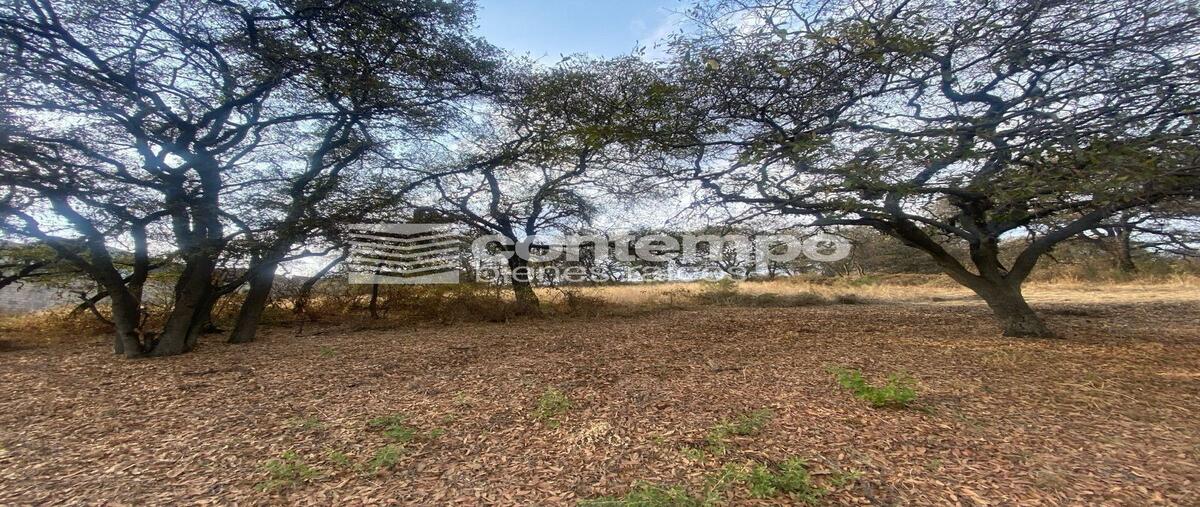 Foto de terreno habitacional en venta en condado de sayavedra , fincas de sayavedra, atizapán de zaragoza, méxico, 29365831 No. 05