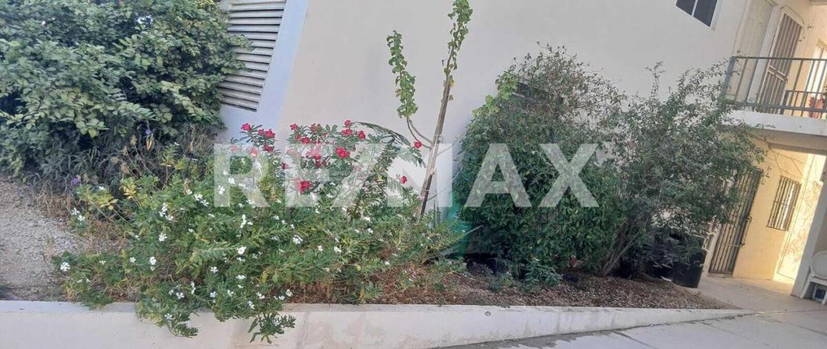 Foto de departamento en condo privada vista del sol, avenida los mangos lot 3, manzana 4 103, san josé del cabo , vista hermosa, los cabos, baja california sur, 0 foto 01 Foto de departamento en venta en condo privada vista del sol, avenida los mangos lot 3, manzana 4 103, san josé del cabo , vista hermosa, los cabos, baja california sur, 0 No. 01