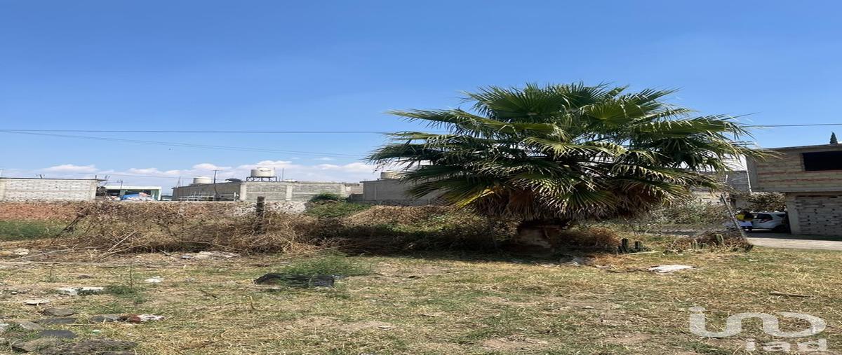 Foto de terreno comercial en venta en condominio 59, la conchita, chalco, méxico, 29404185 No. 04
