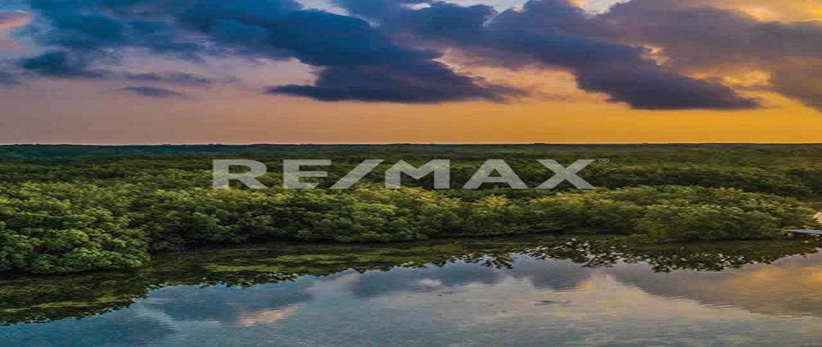 Foto de terreno habitacional en venta en condominio komunah , san crisanto, sinanché, yucatán, 0 No. 03