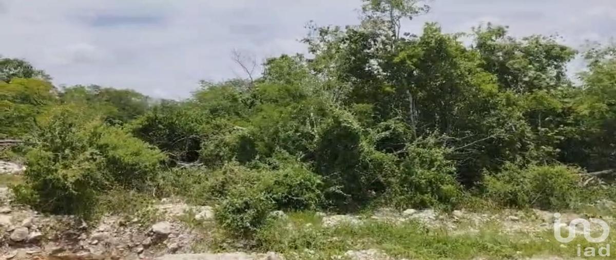 Foto de terreno habitacional en venta en condominio maestro puerta de agua 562, campestre flamboyanes, progreso, yucatán, 30801248 No. 04