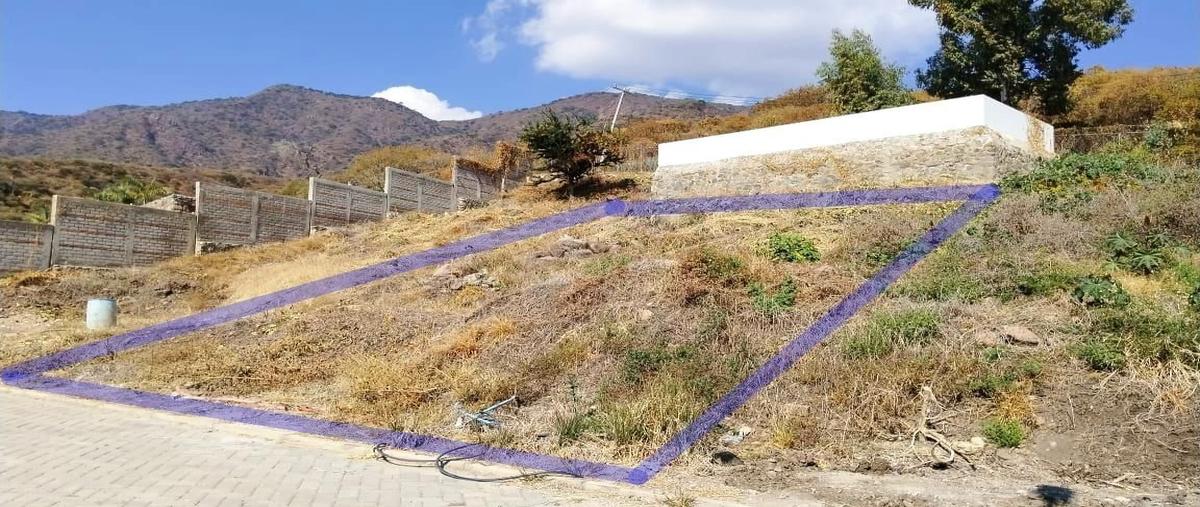 Foto de terreno habitacional en condominio panorama , san juan cosala, jocotepec, jalisco, 29073739 foto 04 Foto de terreno habitacional en venta en condominio panorama , san juan cosala, jocotepec, jalisco, 29073739 No. 04