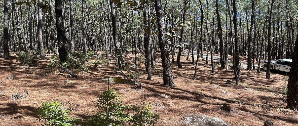 Foto de terreno habitacional en condor , tapalpa, tapalpa, jalisco, 0 foto 03 Foto de terreno habitacional en venta en condor , tapalpa, tapalpa, jalisco, 0 No. 03