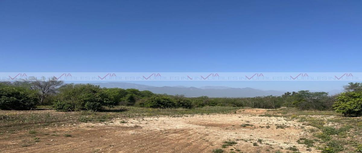 Foto de terreno habitacional en venta en congregación calles , congregación calles, montemorelos, nuevo león, 0 No. 04