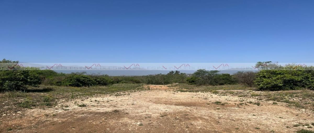 Foto de terreno habitacional en venta en congregación calles , congregación calles, montemorelos, nuevo león, 0 No. 05