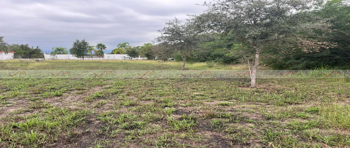 Foto de terreno habitacional en congregación calles , congregación calles, montemorelos, nuevo león, 0 foto 05 Foto de terreno habitacional en venta en congregación calles , congregación calles, montemorelos, nuevo león, 0 No. 05