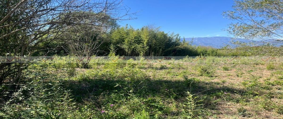 Foto de terreno habitacional en venta en congregación calles , congregación calles, montemorelos, nuevo león, 0 No. 04