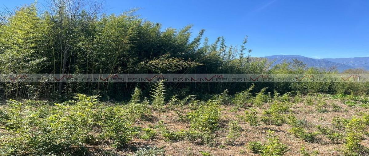 Foto de terreno habitacional en venta en congregación calles , congregación calles, montemorelos, nuevo león, 0 No. 05