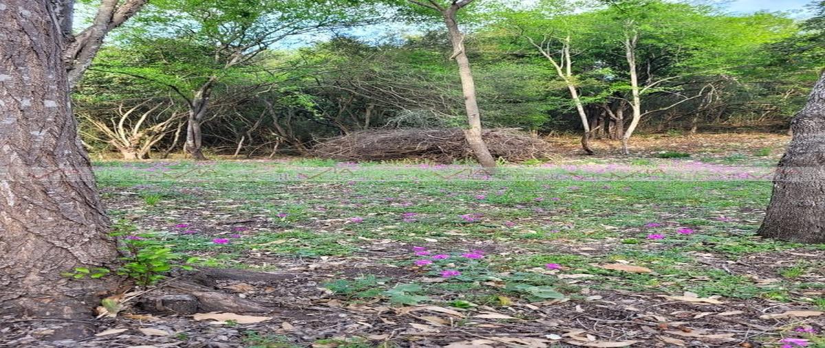 Foto de terreno habitacional en venta en congregación calles , congregación calles, montemorelos, nuevo león, 0 No. 05