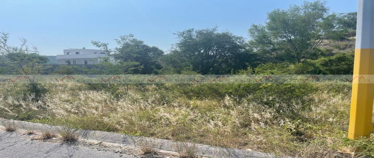 Foto de terreno habitacional en venta en  , congregación calles, montemorelos, nuevo león, 26960781 No. 03