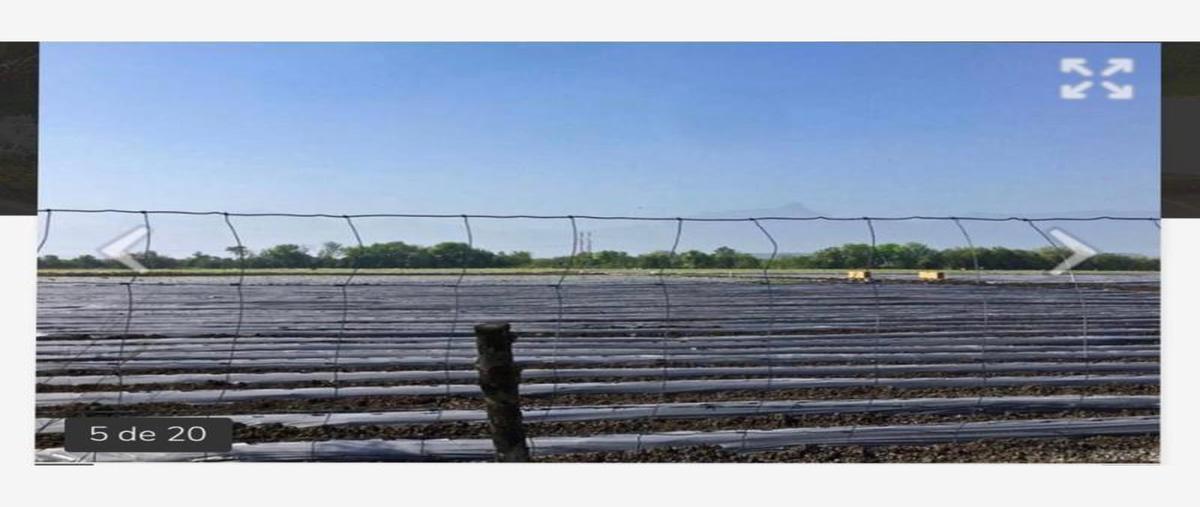 Foto de terreno habitacional en venta en  , congregación calles, montemorelos, nuevo león, 0 No. 03