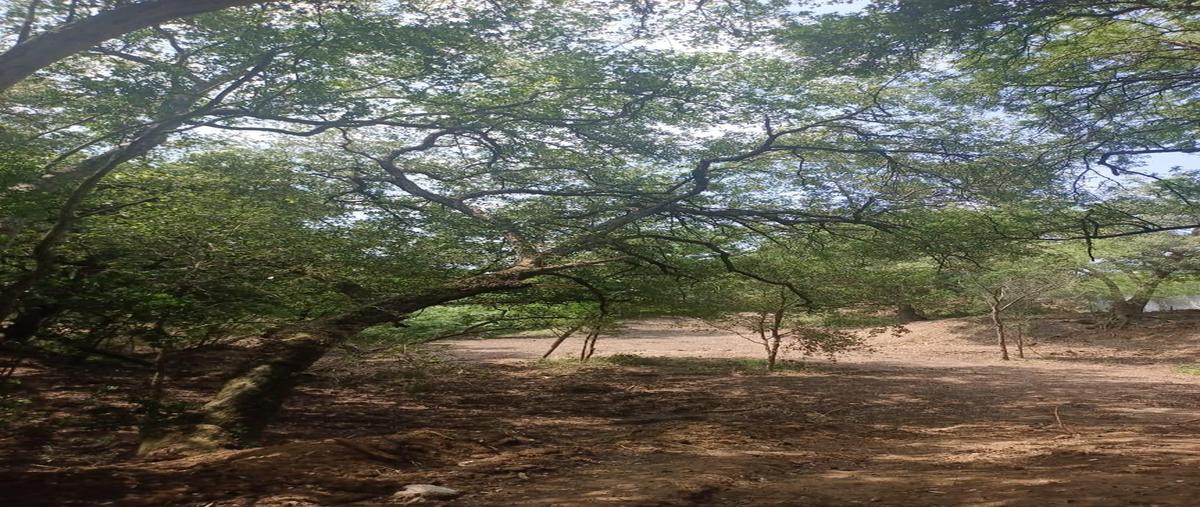 Foto de terreno habitacional en venta en  , congregación calles, montemorelos, nuevo león, 0 No. 03