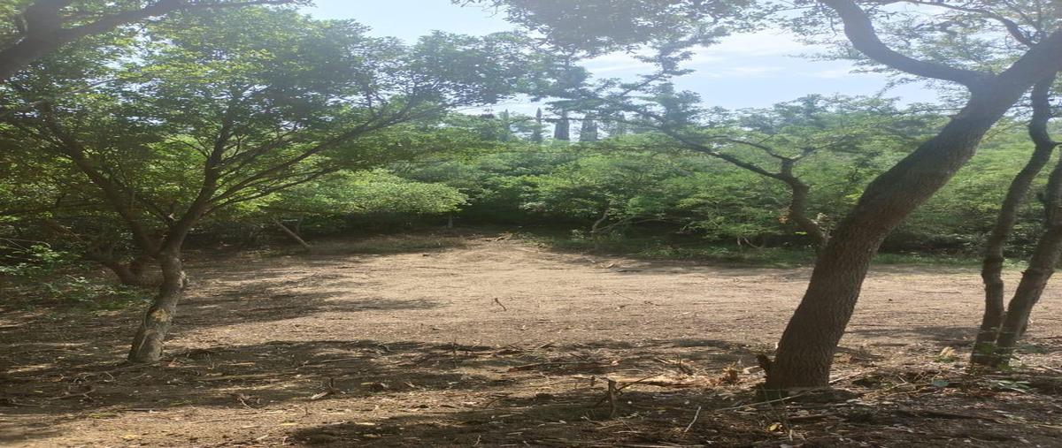 Foto de terreno habitacional en venta en  , congregación calles, montemorelos, nuevo león, 0 No. 04