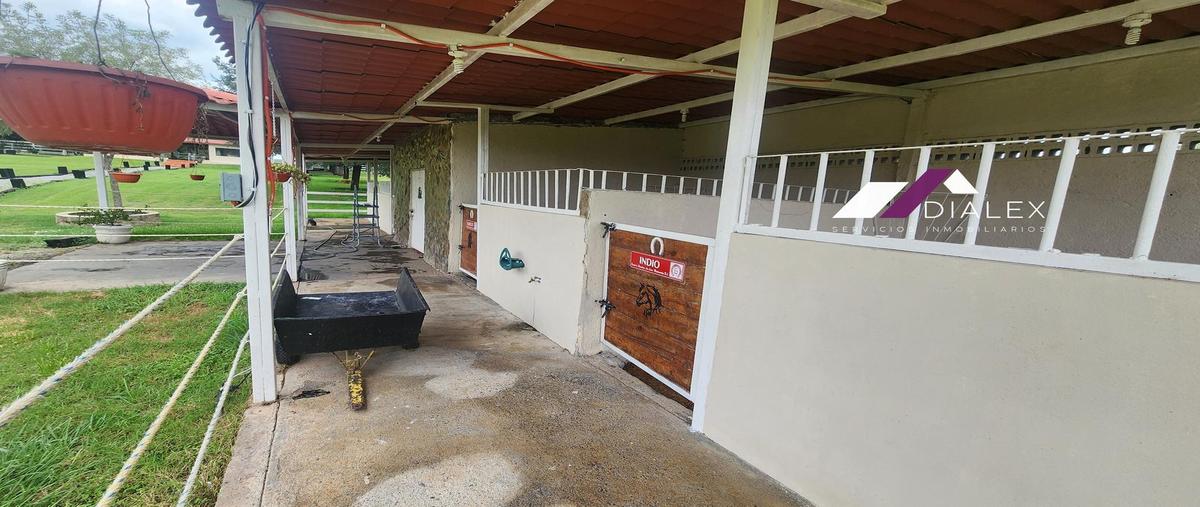 Foto de casa en venta en  , congregación calles, montemorelos, nuevo león, 30145405 No. 04