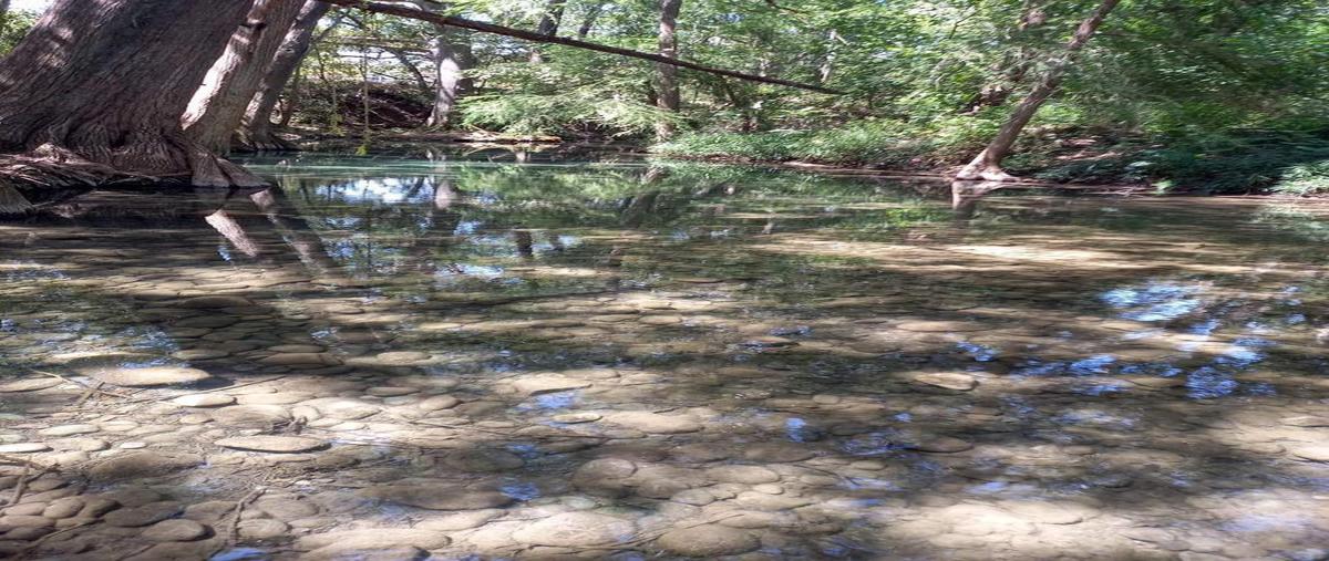 Foto de casa en venta en  , congregación calles, montemorelos, nuevo león, 30276586 No. 03