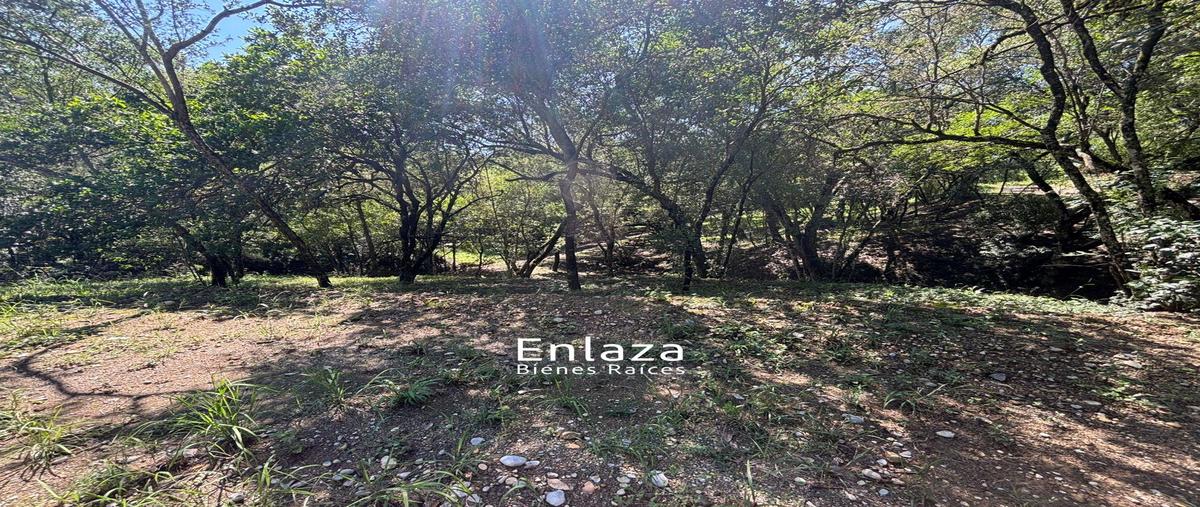 Foto de terreno habitacional en venta en  , congregación calles, montemorelos, nuevo león, 0 No. 03