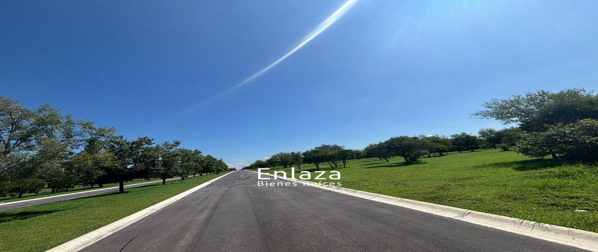 Foto de terreno habitacional en venta en  , congregación calles, montemorelos, nuevo león, 0 No. 05