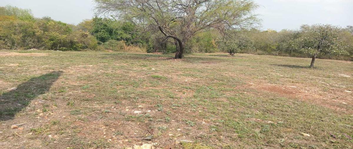 Foto de terreno habitacional en venta en  , congregación calles, montemorelos, nuevo león, 31043623 No. 03