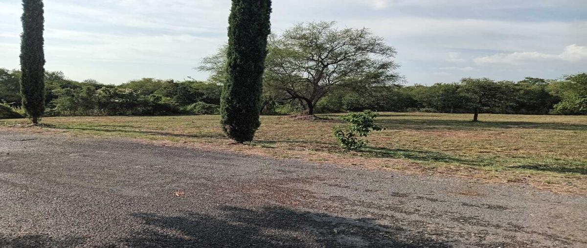 Foto de terreno habitacional en venta en  , congregación calles, montemorelos, nuevo león, 31043623 No. 05