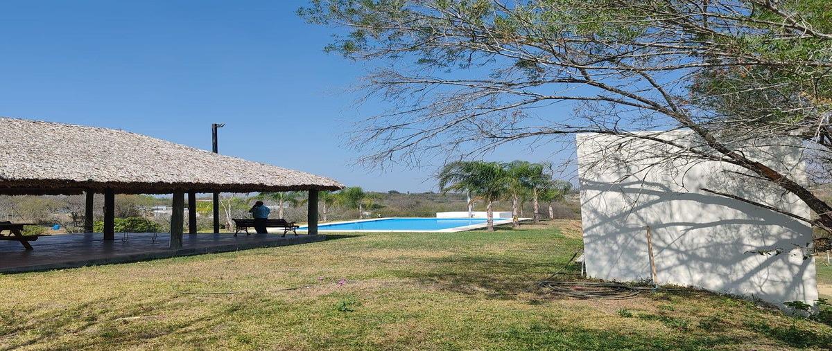 Foto de rancho en congregación , congregación calles, montemorelos, nuevo león, 30955557 foto 04 Foto de rancho en venta en congregación , congregación calles, montemorelos, nuevo león, 30955557 No. 04