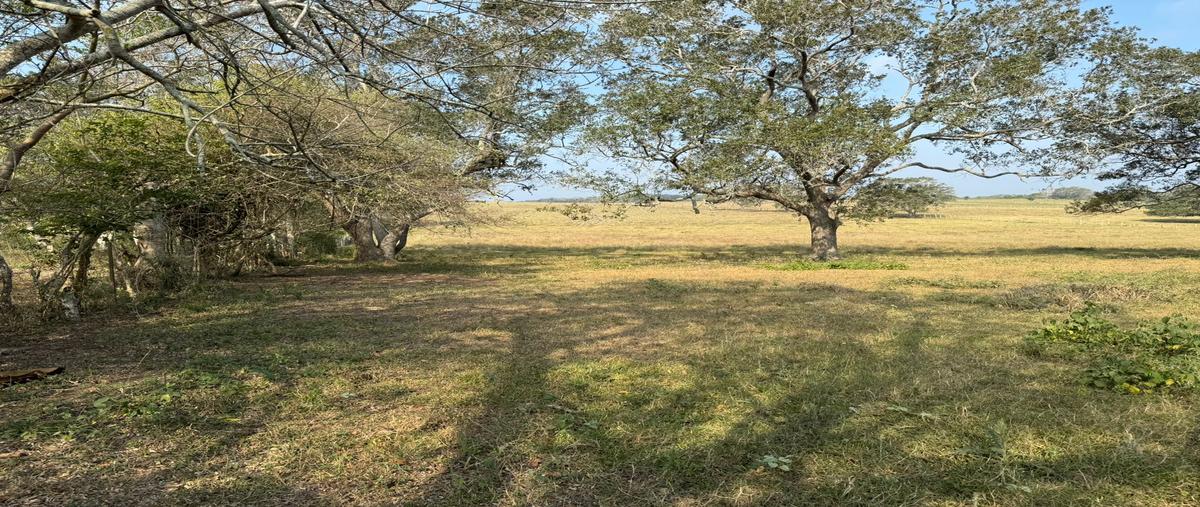 Foto de terreno comercial en venta en congregacion , el jobo (escribano), tampico alto, veracruz de ignacio de la llave, 28174089 No. 03
