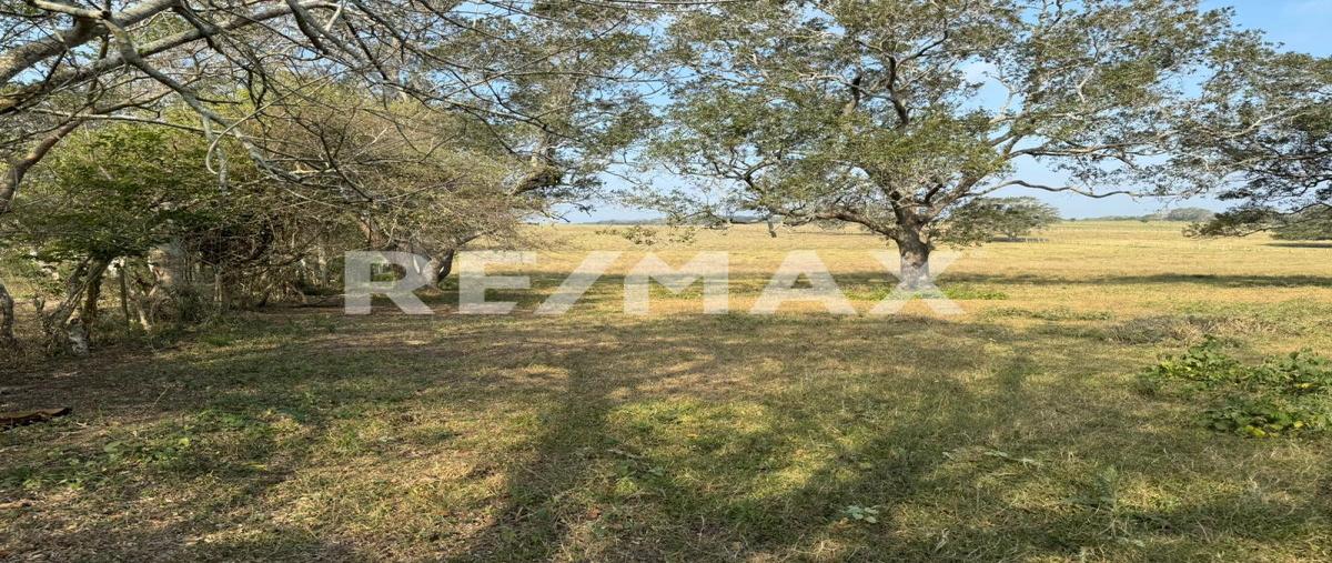 Foto de terreno comercial en congregacion , el jobo (escribano), tampico alto, veracruz de ignacio de la llave, 0 foto 03 Foto de terreno comercial en venta en congregacion , el jobo (escribano), tampico alto, veracruz de ignacio de la llave, 0 No. 03