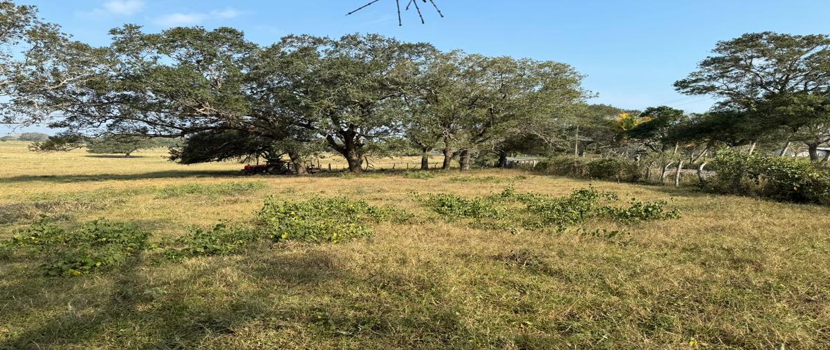 Foto de terreno comercial en venta en congregacion , el jobo (escribano), tampico alto, veracruz de ignacio de la llave, 28174089 No. 04