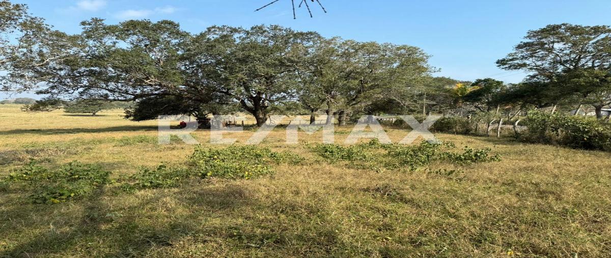 Foto de terreno comercial en congregacion , el jobo (escribano), tampico alto, veracruz de ignacio de la llave, 0 foto 04 Foto de terreno comercial en venta en congregacion , el jobo (escribano), tampico alto, veracruz de ignacio de la llave, 0 No. 04