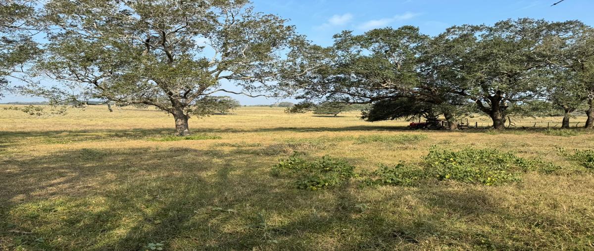 Foto de terreno comercial en venta en congregacion , el jobo (escribano), tampico alto, veracruz de ignacio de la llave, 28174089 No. 05
