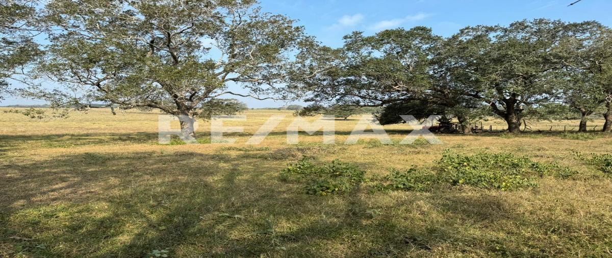 Foto de terreno comercial en congregacion , el jobo (escribano), tampico alto, veracruz de ignacio de la llave, 0 foto 05 Foto de terreno comercial en venta en congregacion , el jobo (escribano), tampico alto, veracruz de ignacio de la llave, 0 No. 05