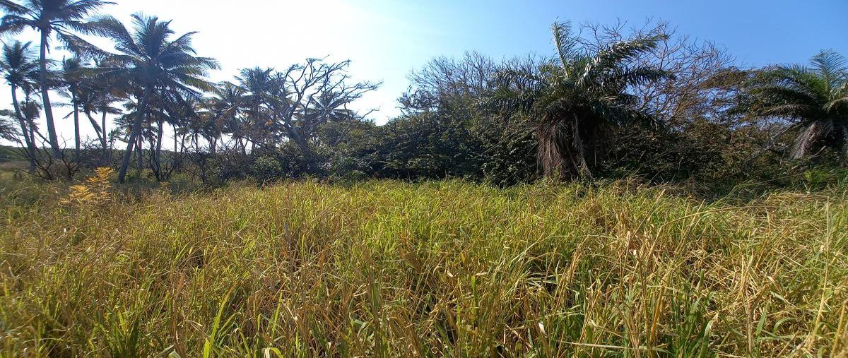 Foto de terreno habitacional en congregacion isla de isla juan a. ramirez , ozuluama de mascareñas, ozuluama de mascareñas, veracruz de ignacio de la llave, 0 foto 04 Foto de terreno habitacional en venta en congregacion isla de isla juan a. ramirez , ozuluama de mascareñas, ozuluama de mascareñas, veracruz de ignacio de la llave, 0 No. 04